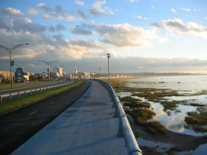 Exposition Exposition